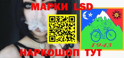 ECSTASY Камышлов