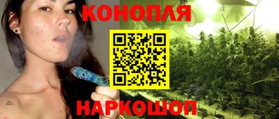 ECSTASY Камышлов