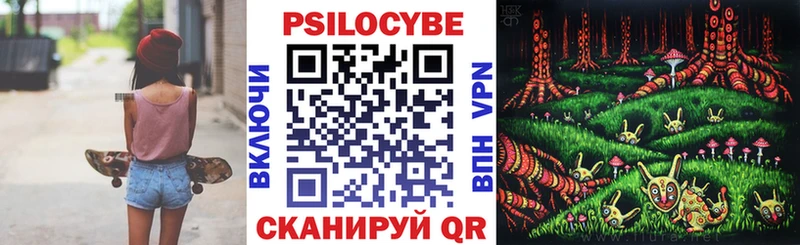 где найти   Красный Сулин  Псилоцибиновые грибы прущие грибы 