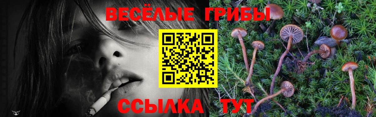 Красный Сулин  Псилоцибиновые грибы GOLDEN TEACHER  закладки  Галлюциногенные грибы мицелий  Вход с VPN 